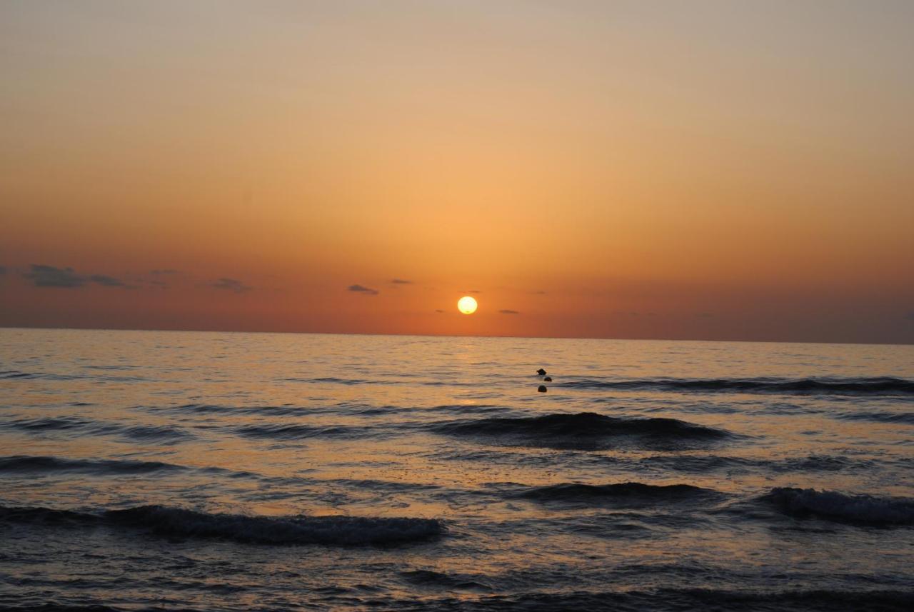 Gandia Playa-Apartamento Gandiazar 2 - Vt- 49300-V Playa de Gandia Dış mekan fotoğraf